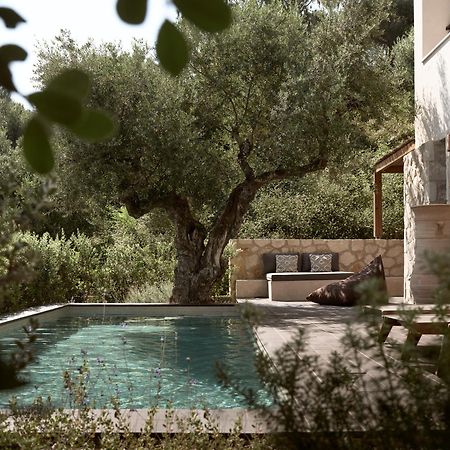 Zayn Luxury Villas, A Serene Escape, By Thinkvilla Циливи Екстериор снимка