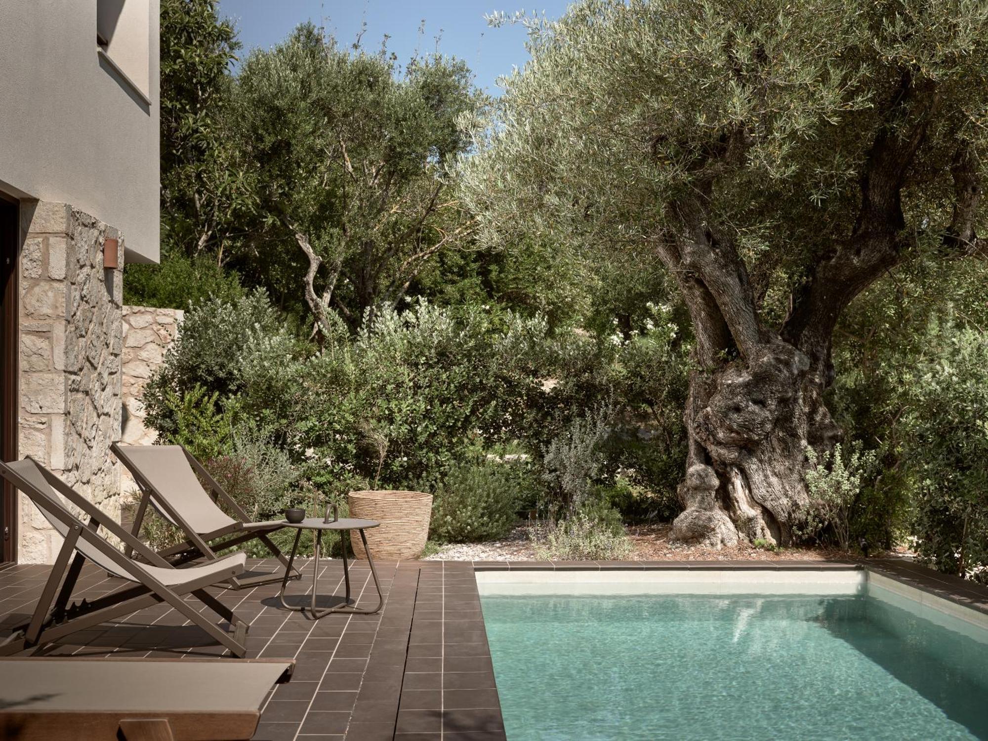 Zayn Luxury Villas, A Serene Escape, By Thinkvilla Циливи Екстериор снимка
